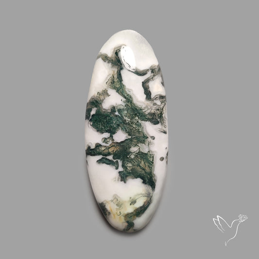 Tree Agate Cabochon