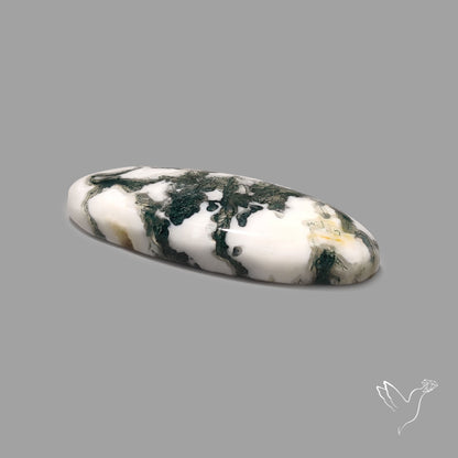 Tree Agate Cabochon