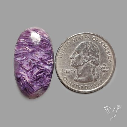 Charoite Cabochon