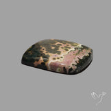 Orbicular Ocean Jasper Cabochon