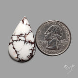 Wild Horse Jasper Cabochon