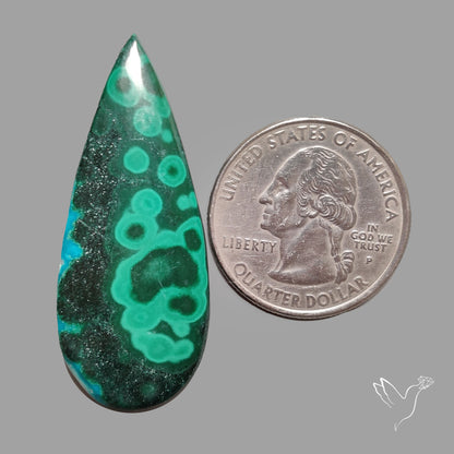 Botryoidal Malachite Cabochon