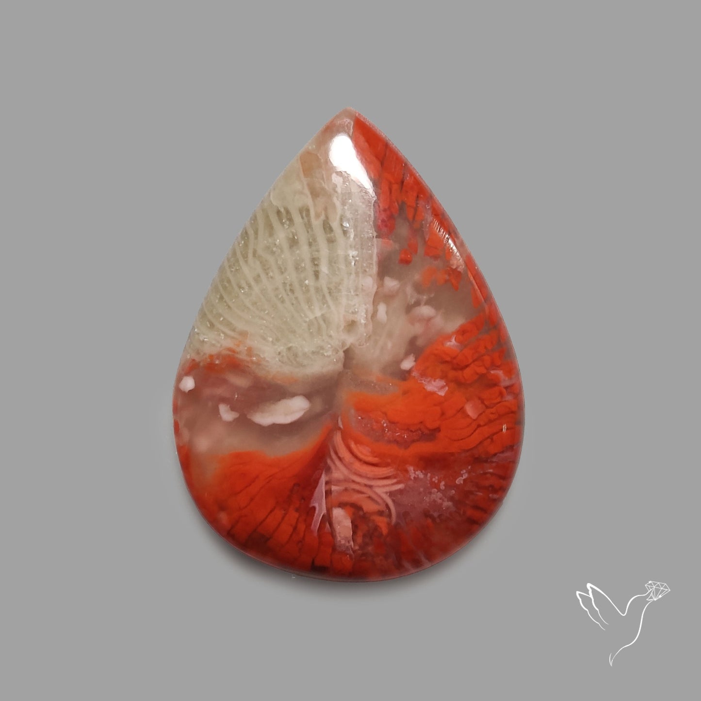 Red Horn Coral Cabochon