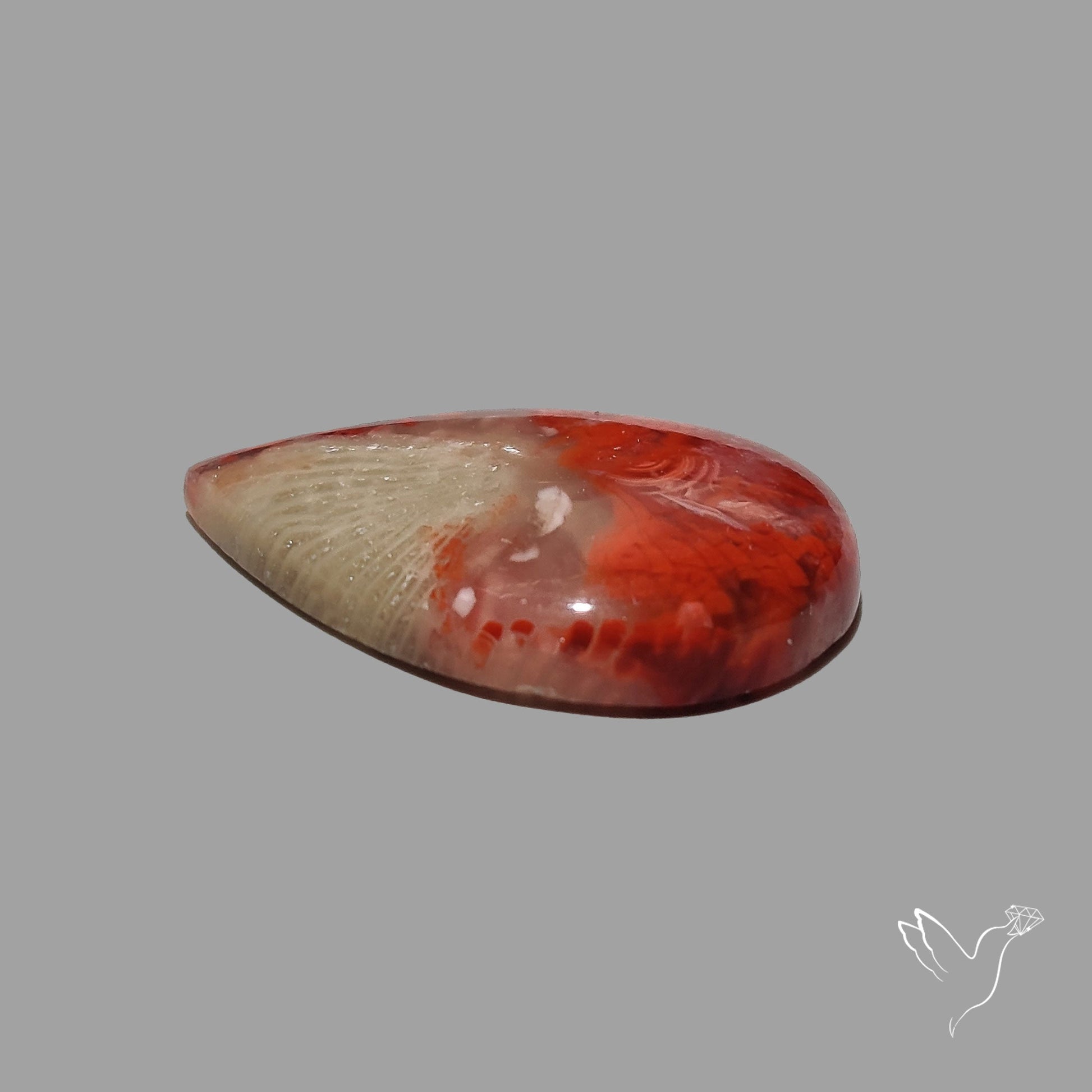 Red Horn Coral Cabochon