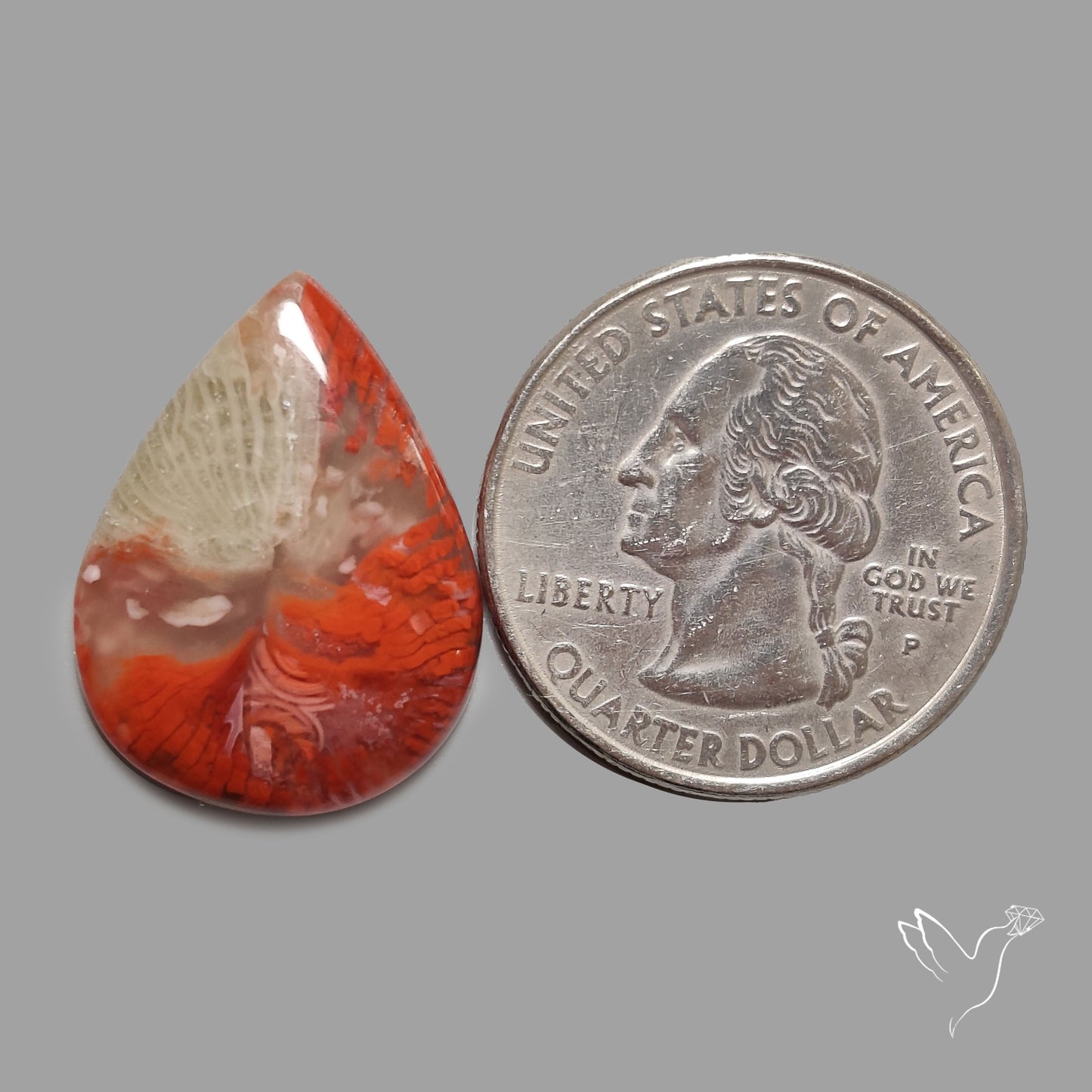 Red Horn Coral Cabochon