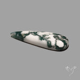 Tree Agate Cabochon