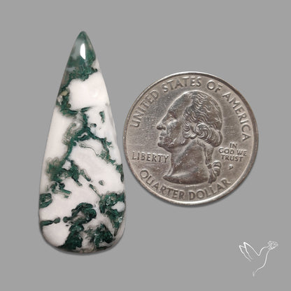 Tree Agate Cabochon