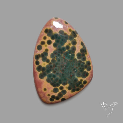 Orbicular Ocean Jasper Cabochon