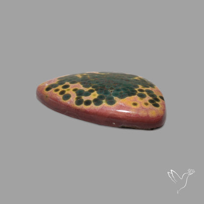 Orbicular Ocean Jasper Cabochon