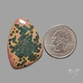 Orbicular Ocean Jasper Cabochon