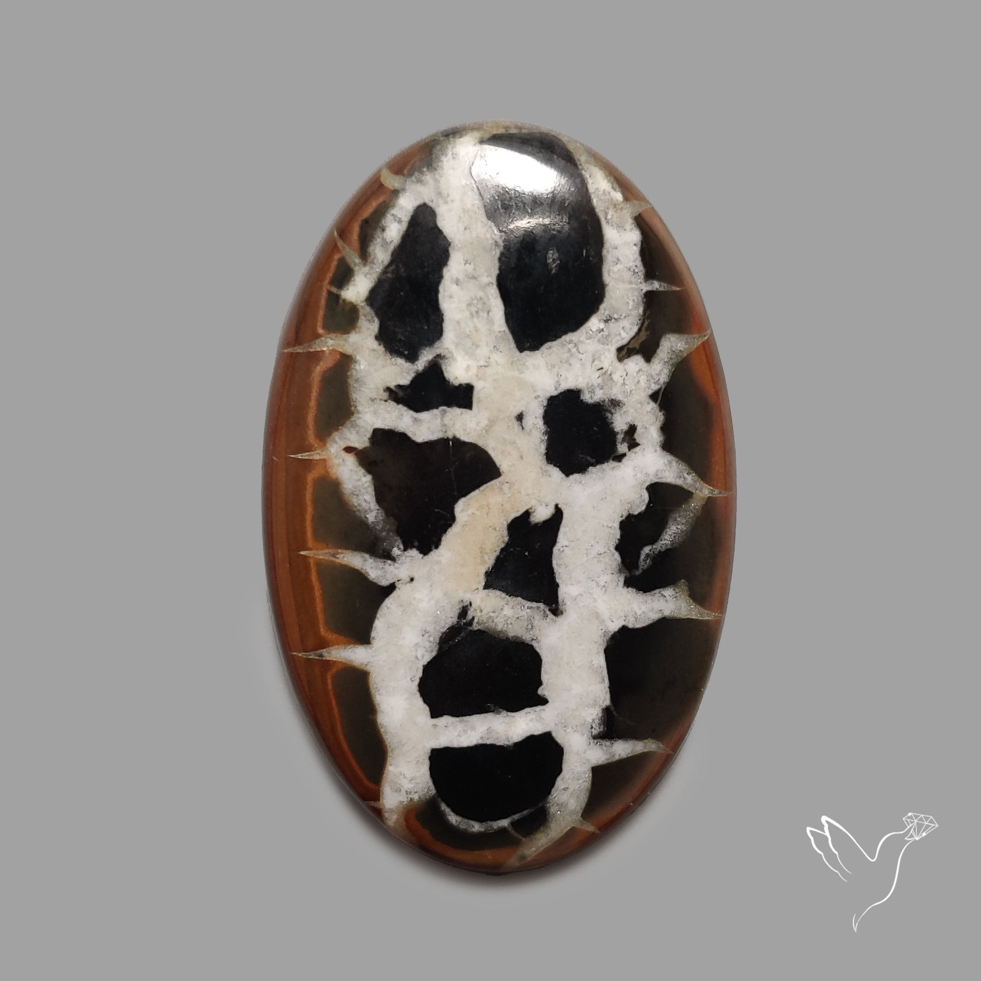 Black Septarian Fossil Cabochon