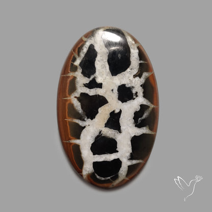 Black Septarian Fossil Cabochon