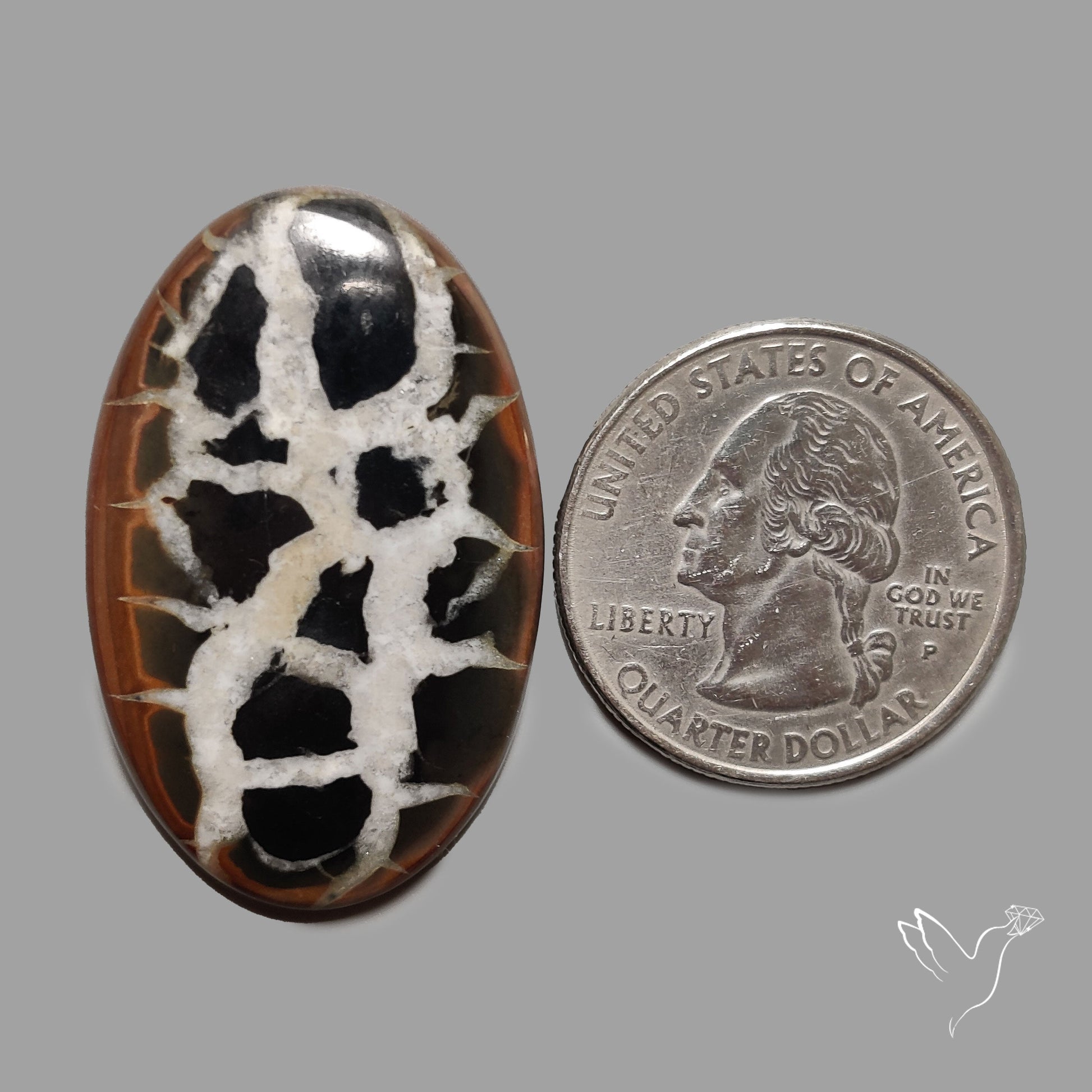 Black Septarian Fossil Cabochon