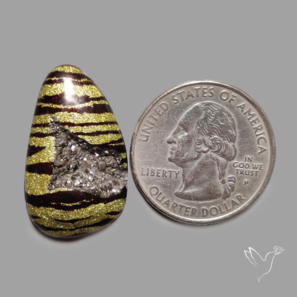 Leopard Coated Chalcedony Druzy