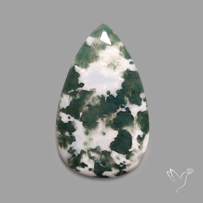 Tree Agate Cabochon