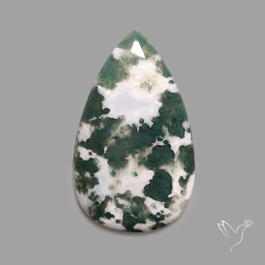 Tree Agate Cabochon