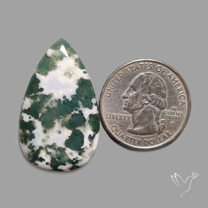 Tree Agate Cabochon