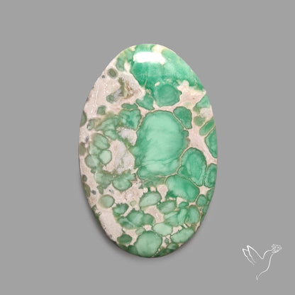 Australian Variscite Cabochon