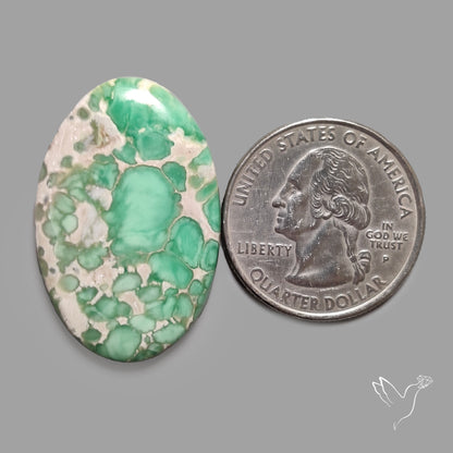 Australian Variscite Cabochon