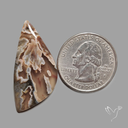 Turkish Tube Agate Cabochon