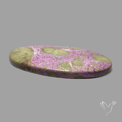 Atlantasite Cabochon Stitchtite in Serpentine Large