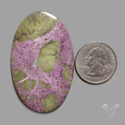 Atlantasite Cabochon Stitchtite in Serpentine Large