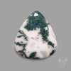 Tree Agate Cabochon