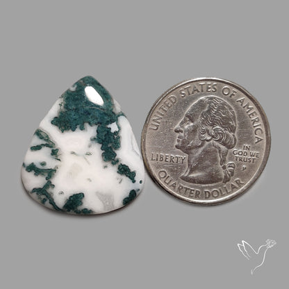 Tree Agate Cabochon