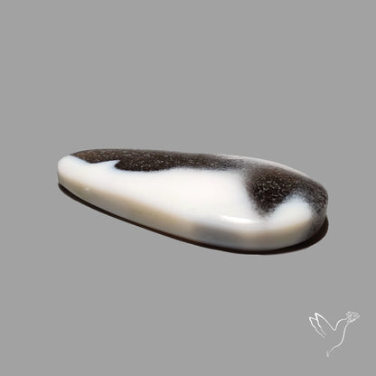 Owyhee Blue Opal Cabochon