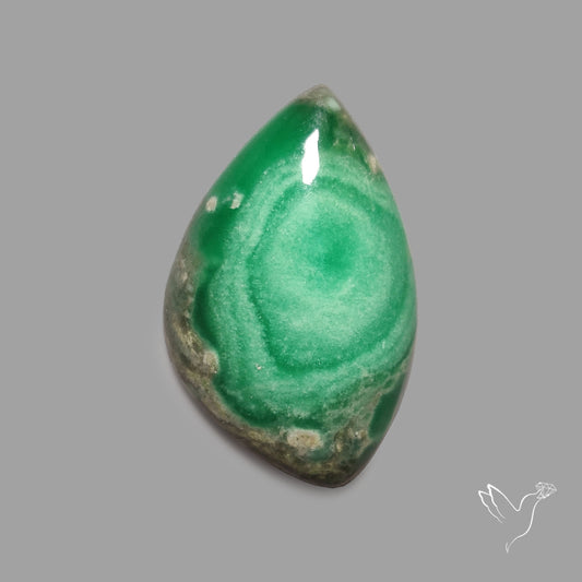 Utah Lucin Variscite Cabochon