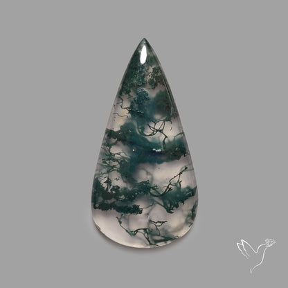 Moss Agate Cabochon