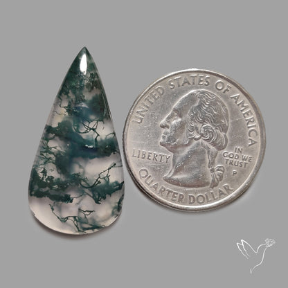 Moss Agate Cabochon