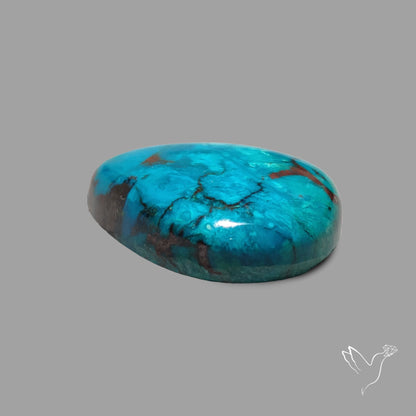 High Dome Chrysocolla Cabochon