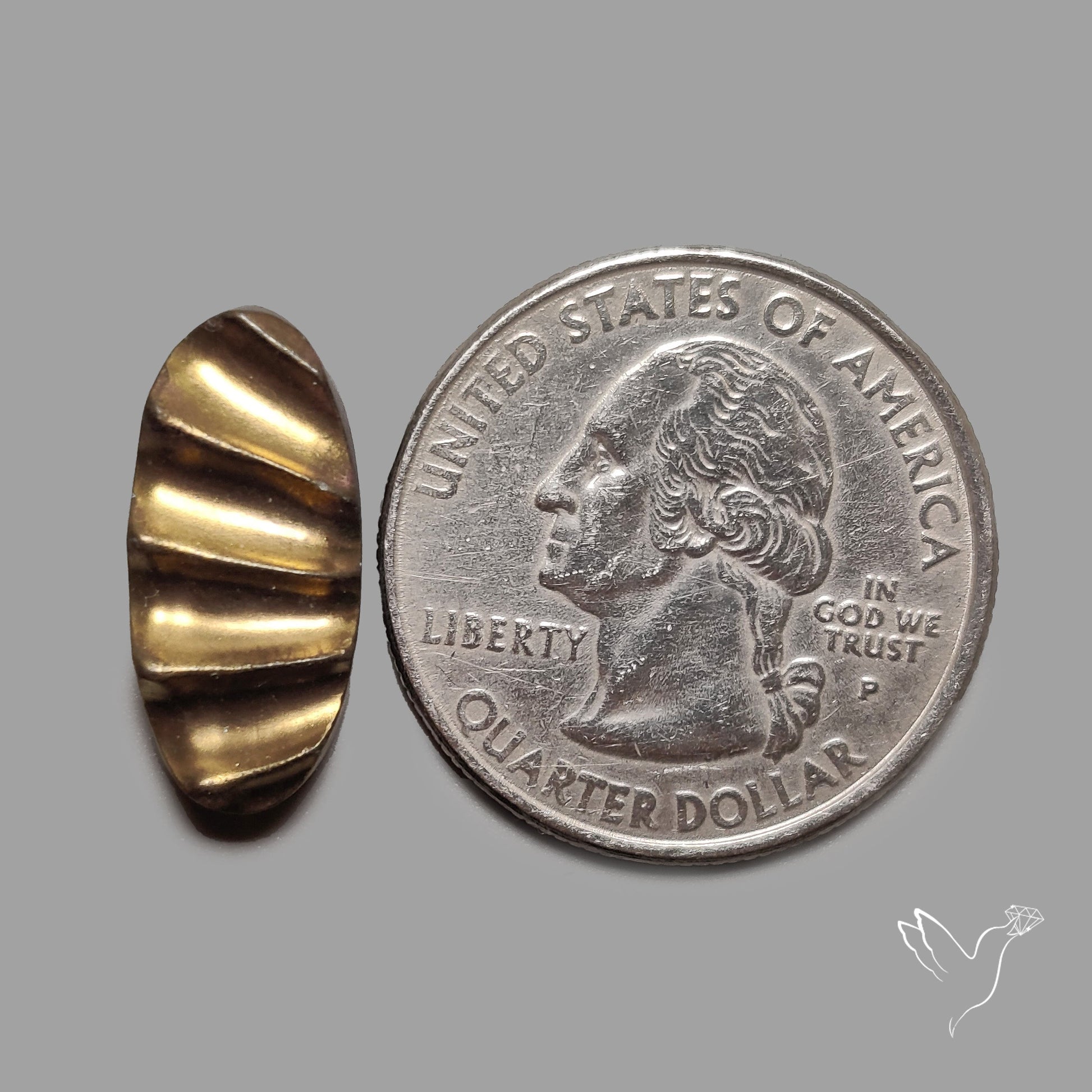 Rare Pyritized Ammonite Negative Fossil Side Cut