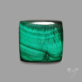 Congo Malachite wiht Chattoyancy Cabochon