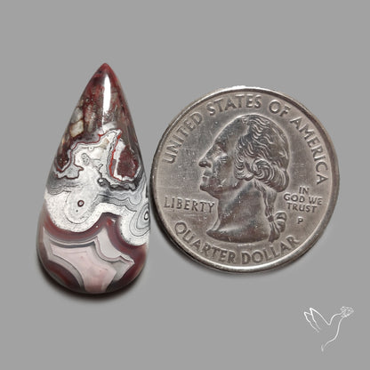 Crazylace Agate Cabochon