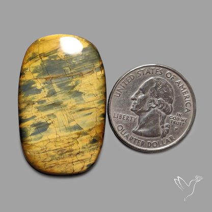 Golden Nellite Cabochon