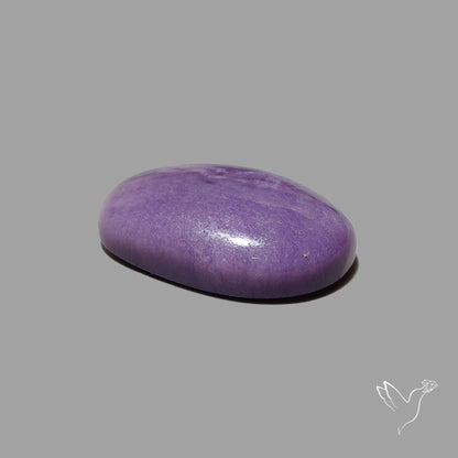 Charoite Cabochon