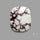 Wild Horse Jasper Cabochon