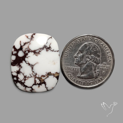 Wild Horse Jasper Cabochon