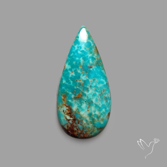 Rare Arizona Patogonia Turquoise Cabochon