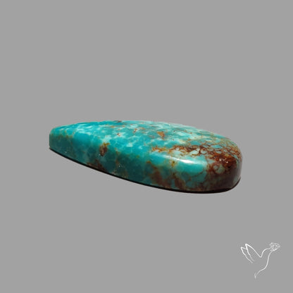 Rare Arizona Patogonia Turquoise Cabochon