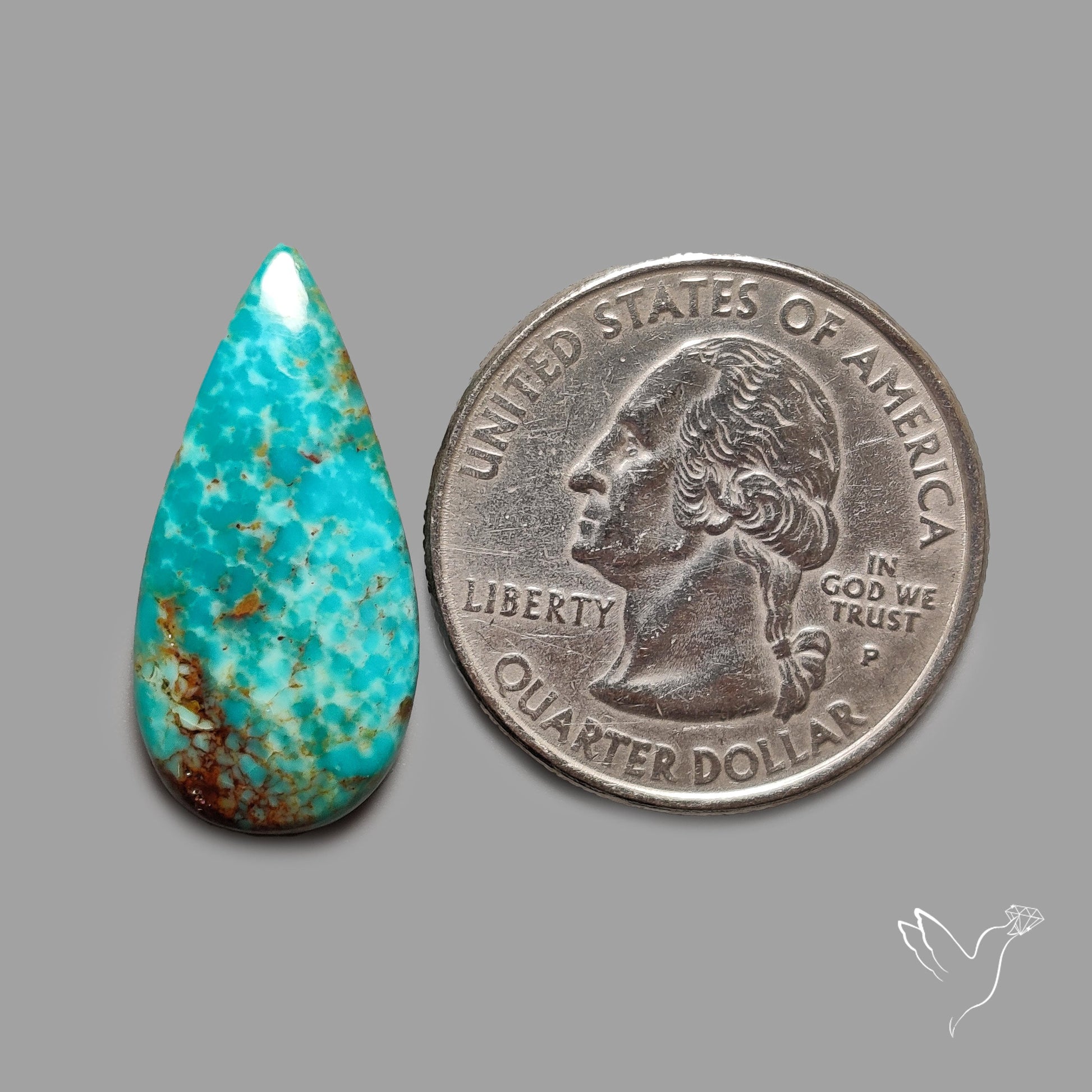 Rare Arizona Patogonia Turquoise Cabochon