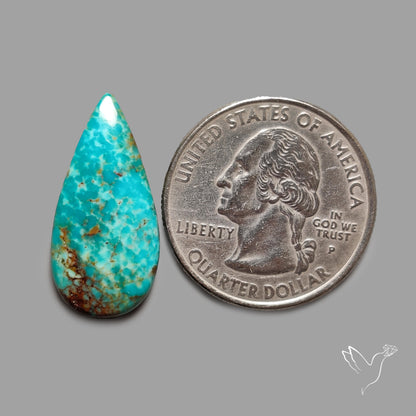Rare Arizona Patogonia Turquoise Cabochon