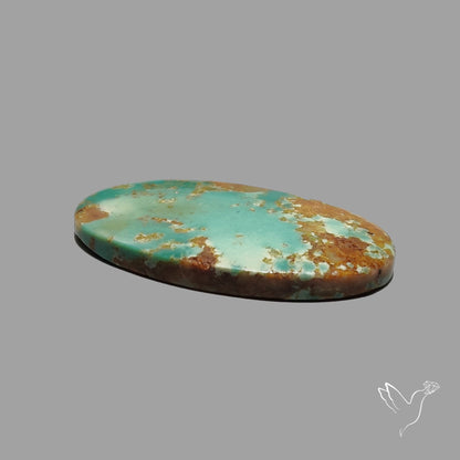 Rare Arizona Patogonia Turquoise Cabochon