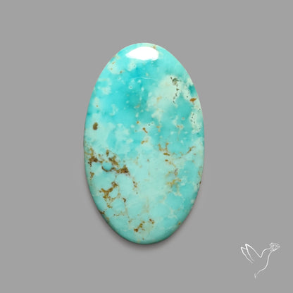 Rare Arizona Patogonia Turquoise Cabochon
