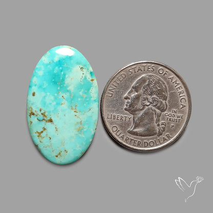 Rare Arizona Patogonia Turquoise Cabochon
