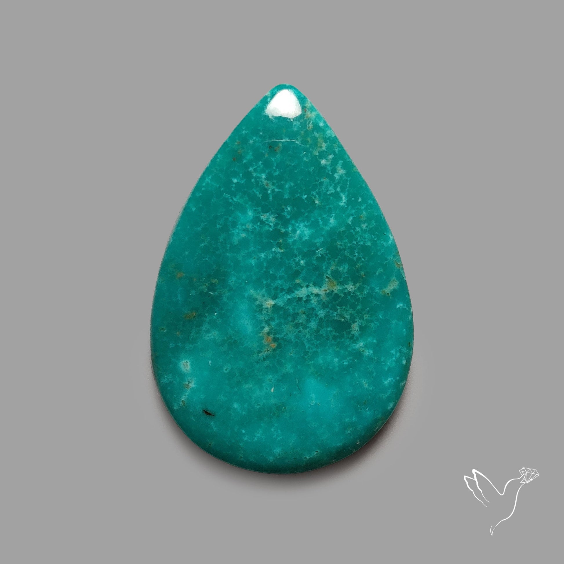 Rare Arizona Patogonia Turquoise Cabochon