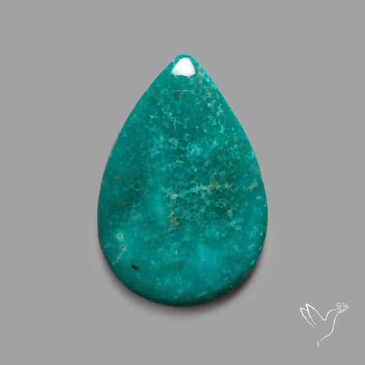 Rare Arizona Patogonia Turquoise Cabochon