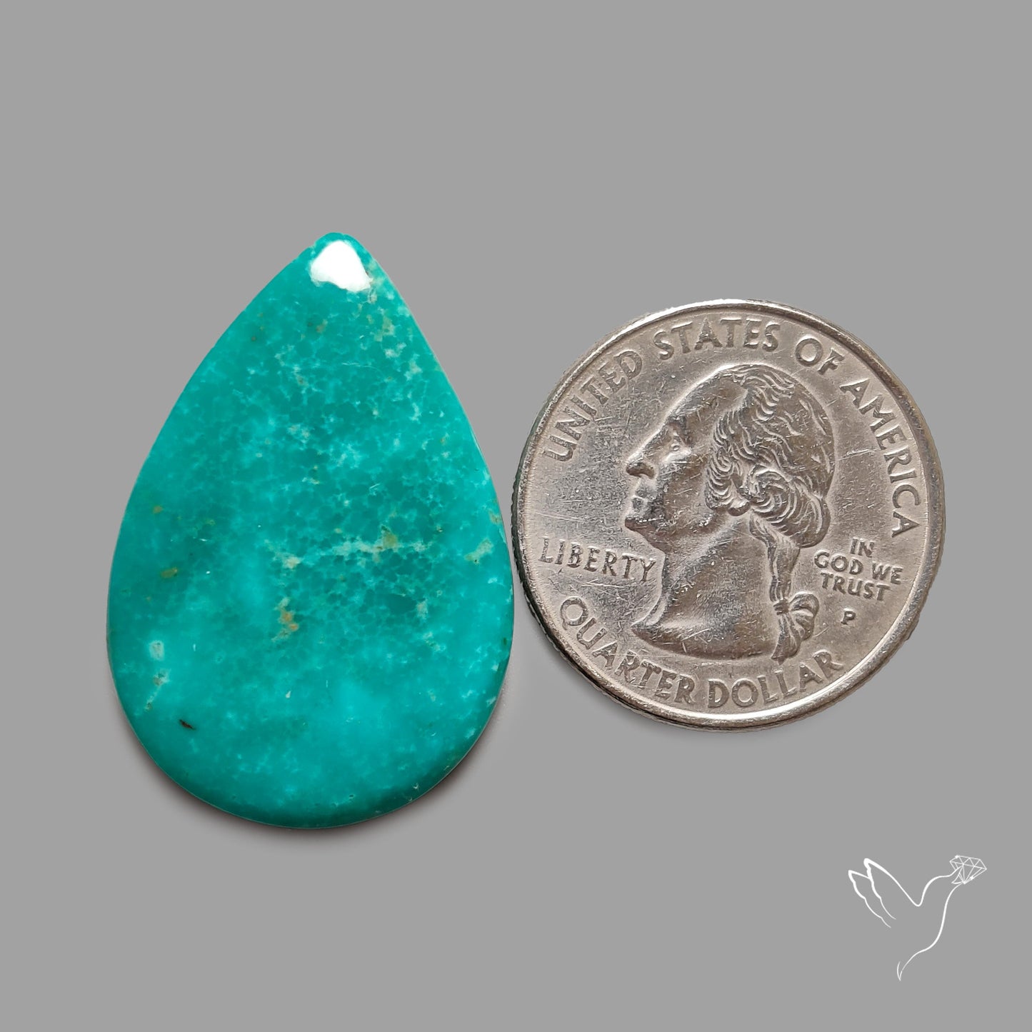 Rare Arizona Patogonia Turquoise Cabochon